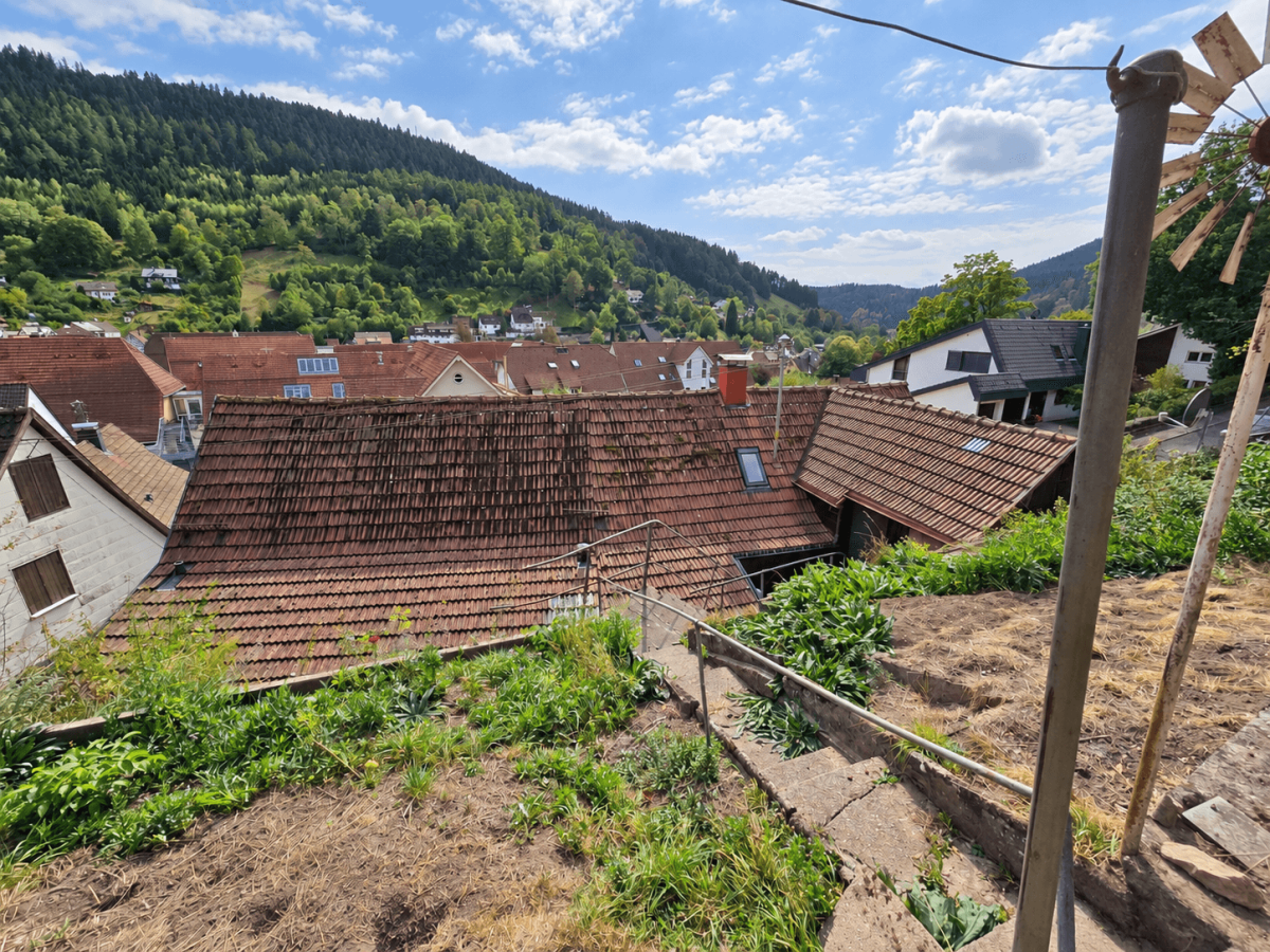 Blick vom Garten auf das Dach
